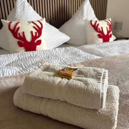 120 Qm Penthouse, Europa Park - Rulantica - Strassburg - Colmar - Schwarzwald, Bis 11 Personen *
